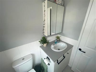 Picture 7